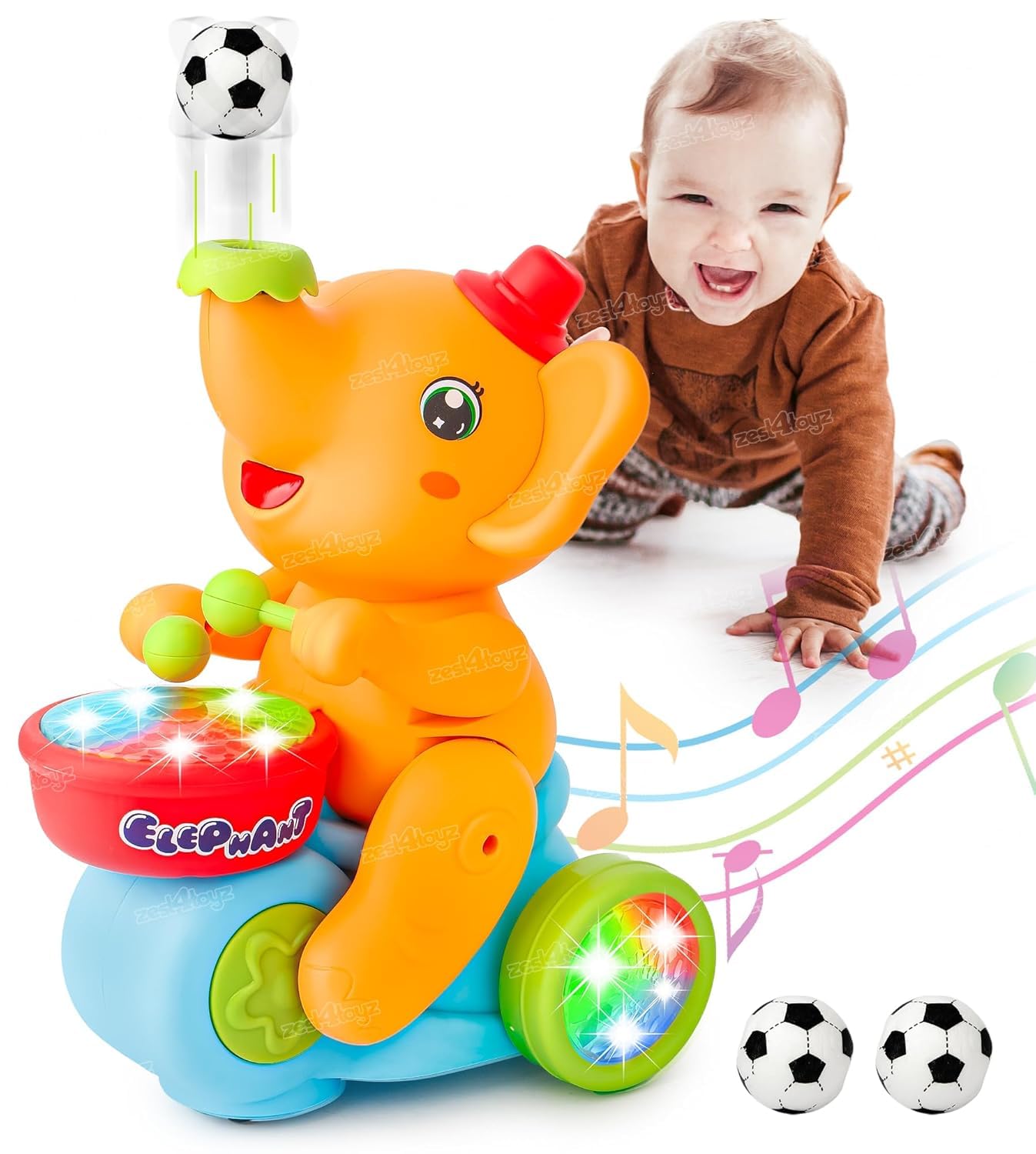 Musical & Interactive Toys